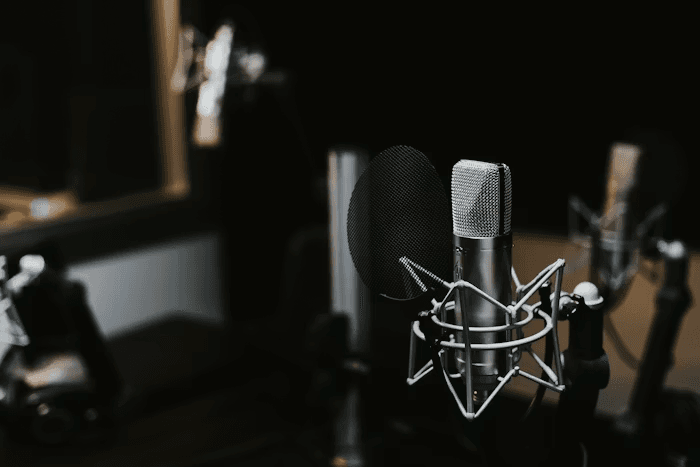 Warm studio microphone